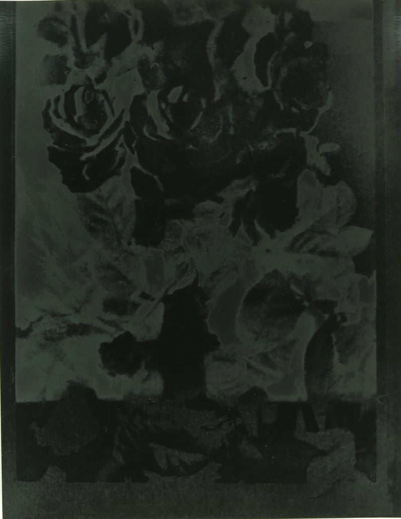 Untitled (8), Inversion