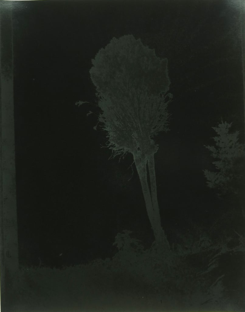 Untitled (7), Inversion