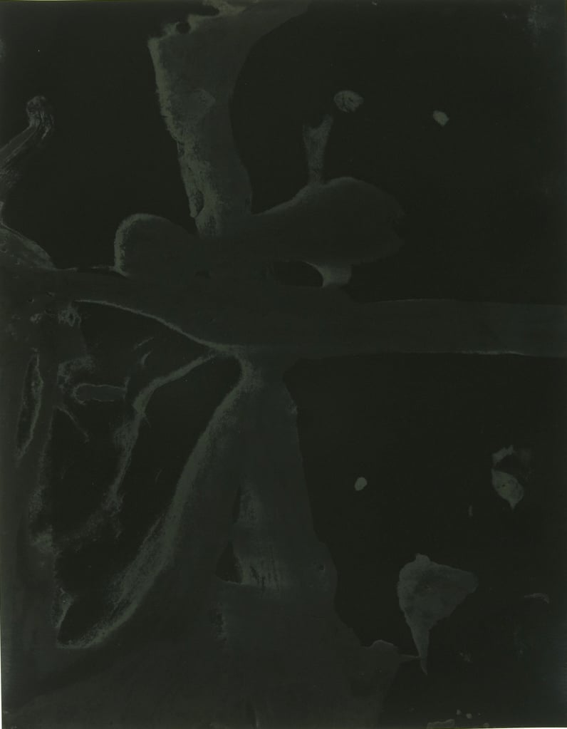 Untitled (2), Inversion