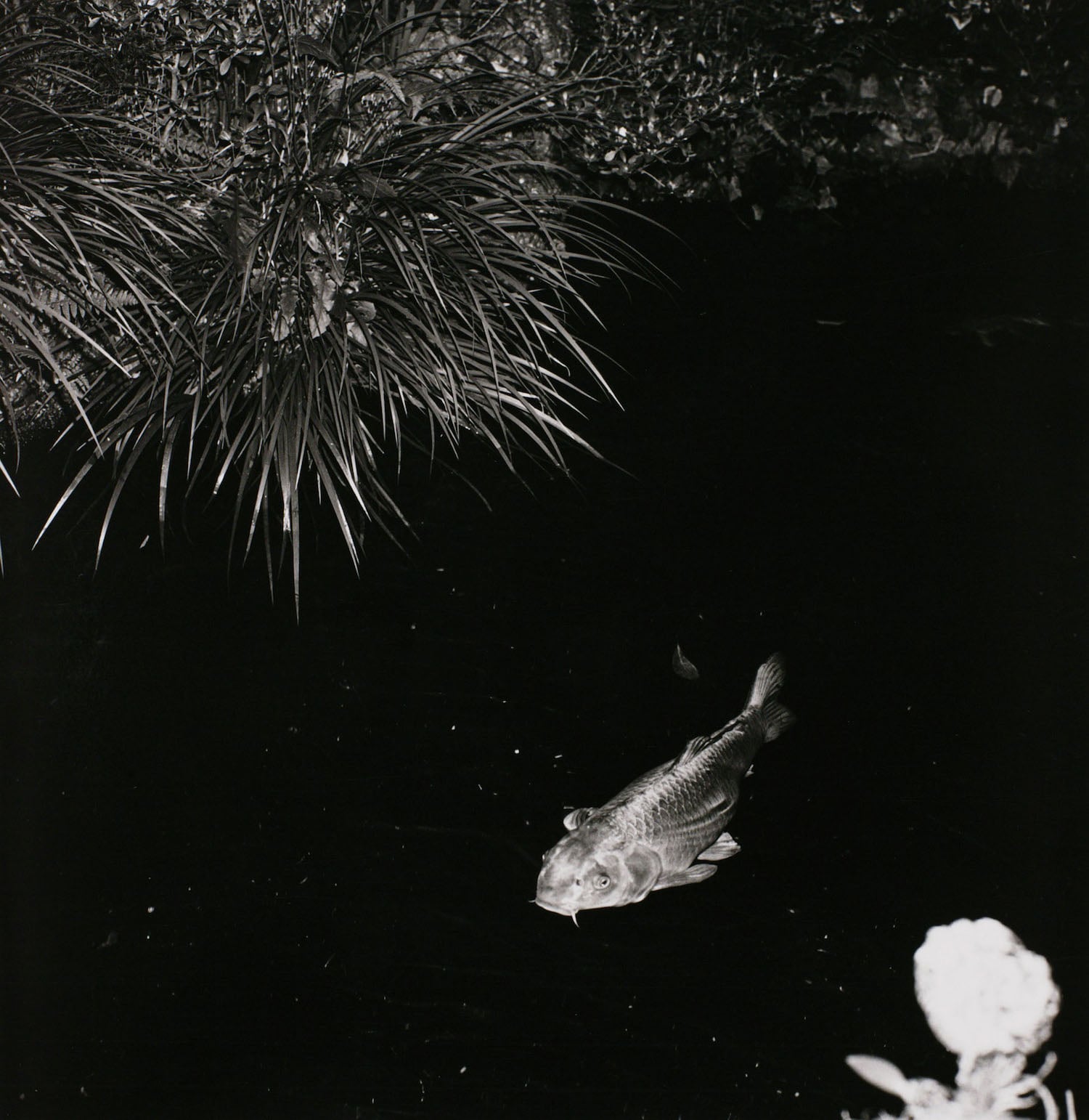 Issei Suda: nagi no hira - fragments of calm